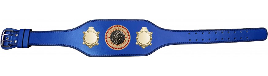 WRESTLING CHAMPIONSHIP BELT-BUD003/G/WRESTGEMG-4 COLOURS